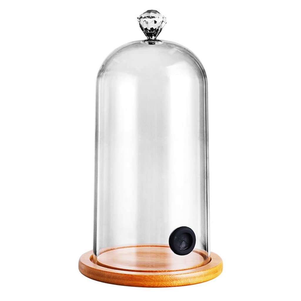 食器・キッチン用品 クロッシュ（Cloche) ステーキカバー ドームカバー